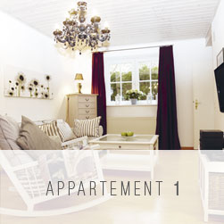 Appartement 1